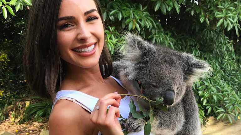 Hold a Koala at Kangaroo Island Wildlife Park
